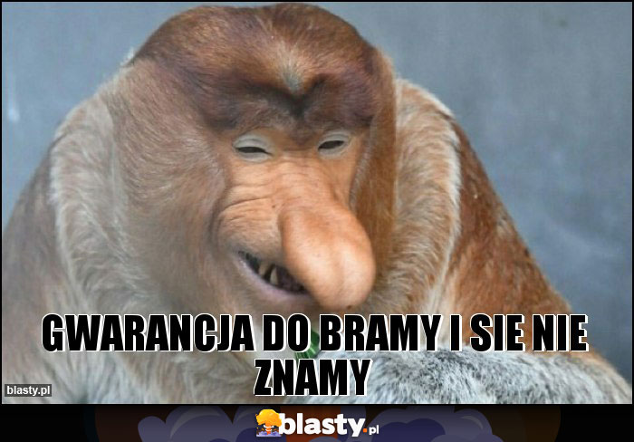 Gwarancja do bramy i sie nie znamy