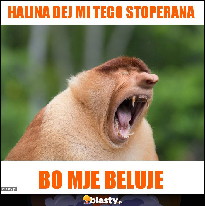 Halina dej mi tego stoperana