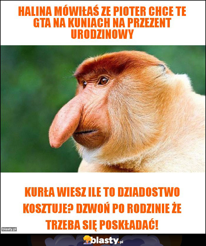 Halina mówiłaś ze pioter chce te gta na kuniach na przezent urodzinowy