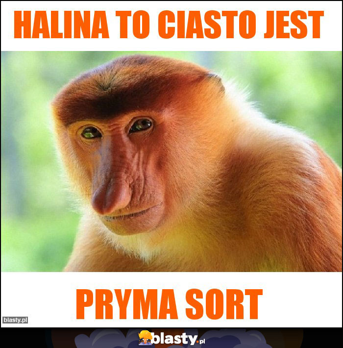 Halina to ciasto jest