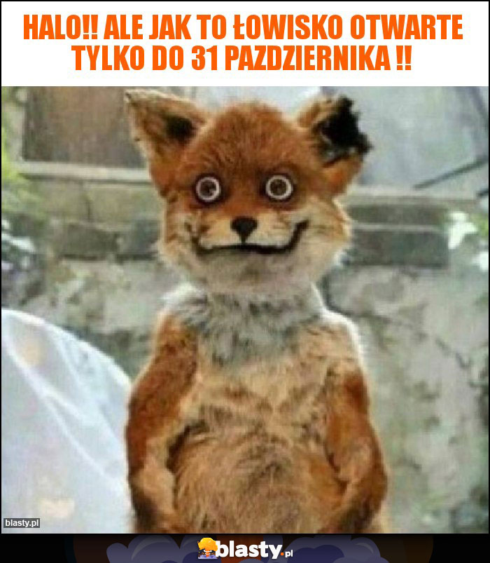 Halo!! Ale jak to łowisko otwarte tylko do 31 pazdziernika !!