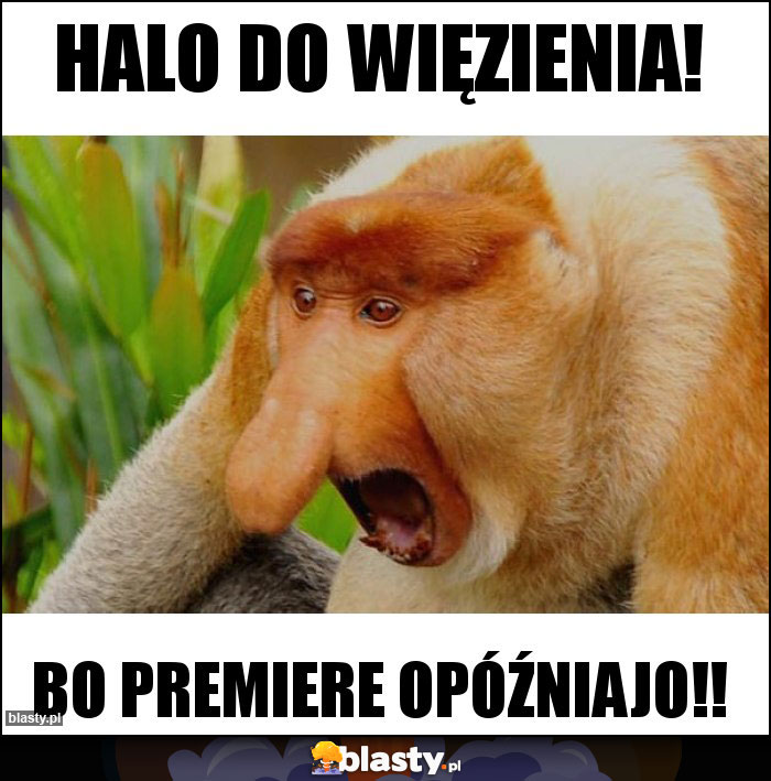 halo do więzienia!