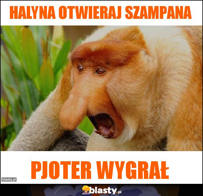 HALYNA OTWIERAJ SZAMPANA