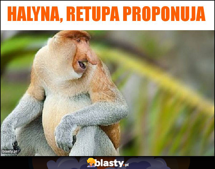 HALYNA, RETUPA PROPONUJA