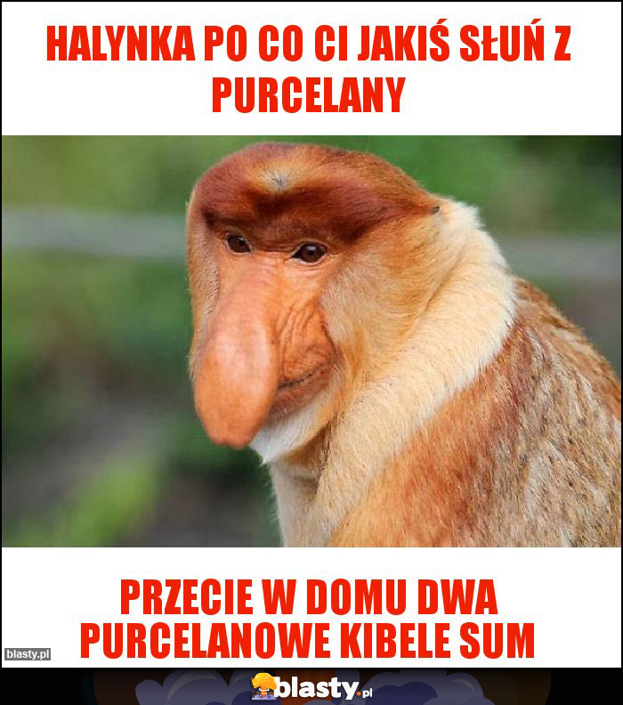 Halynka po co Ci jakiś słuń z purcelany