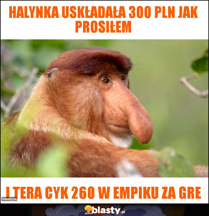 Halynka uskładała 300 pln jak prosiłem