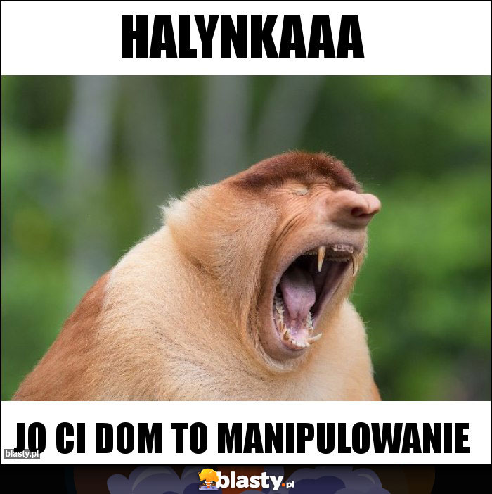 Halynkaaa