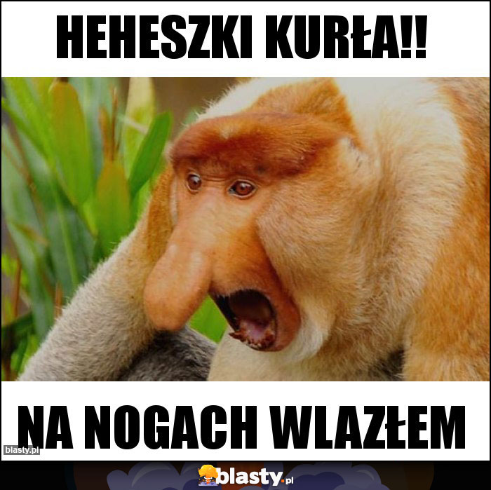 HEHESZKI KURŁA!!