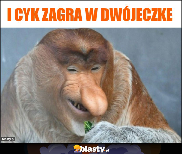 I cyk zagra w dwójeczke