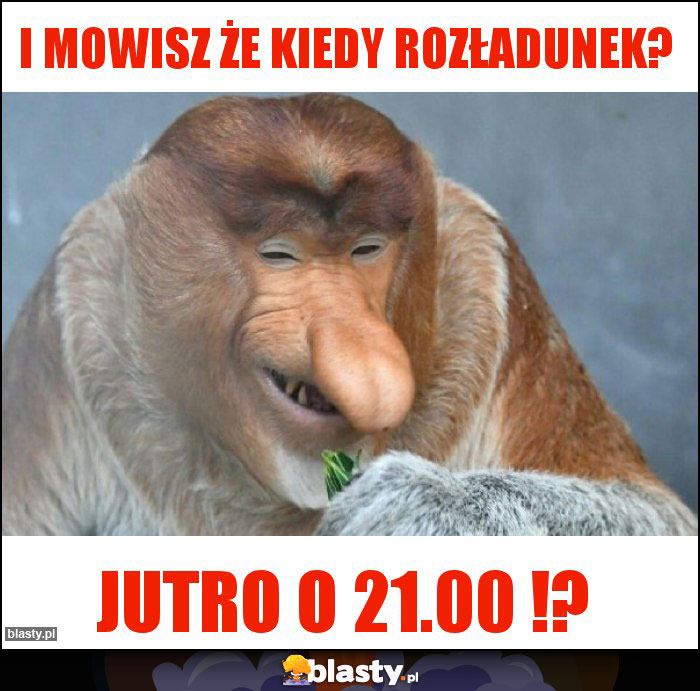 I mowisz że kiedy rozładunek?