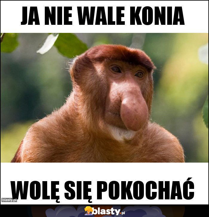 Ja nie wale konia