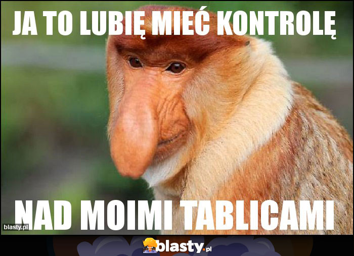 JA TO LUBIĘ MIEĆ KONTROLĘ