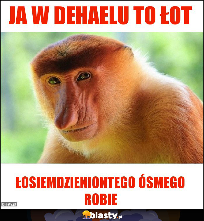 JA W DEHAELU TO ŁOT