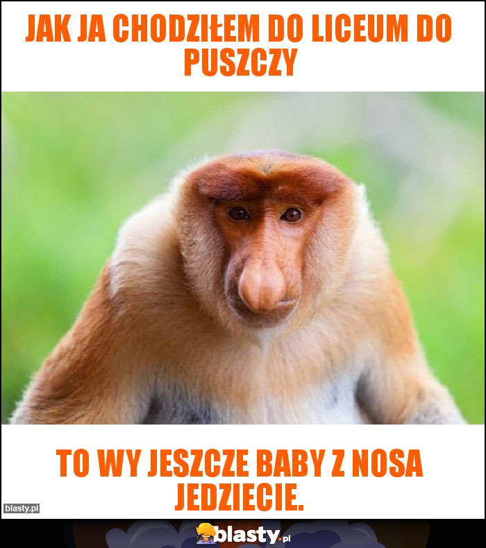 Jak ja chodziłem do liceum do puszczy