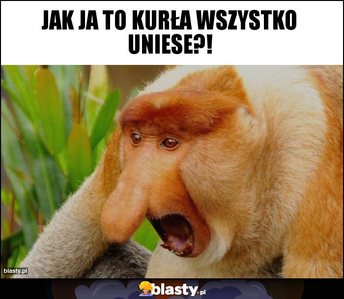 Jak ja to kurła wszystko uniese?!