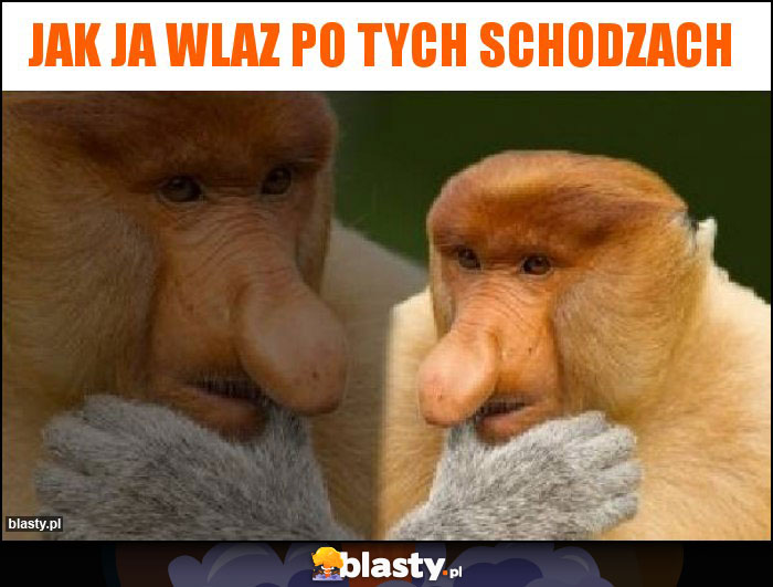 Jak ja wlaz po tych schodzach