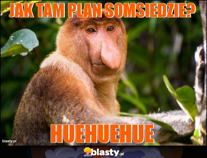 Jak tam plan somsiedzie?