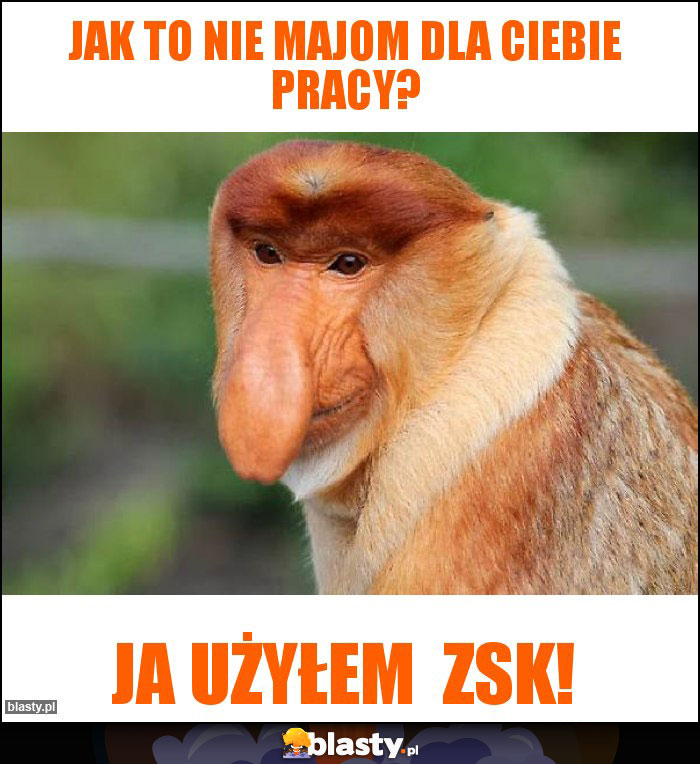 Jak to nie majom dla ciebie pracy?