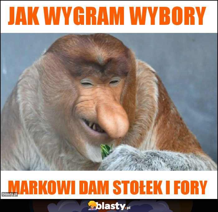 jak wygram wybory