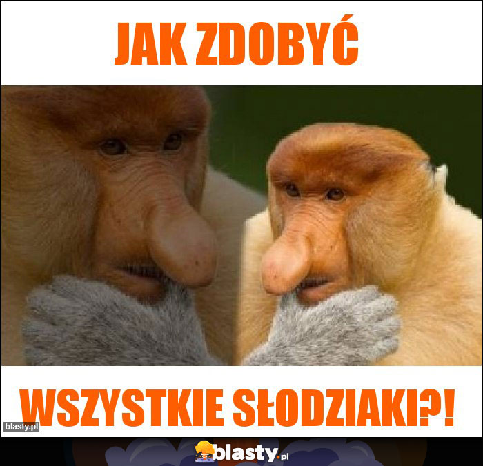 Jak zdobyć