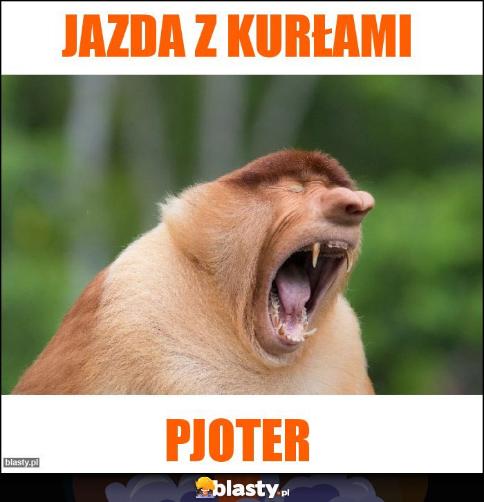 JAZDA Z KURŁAMI