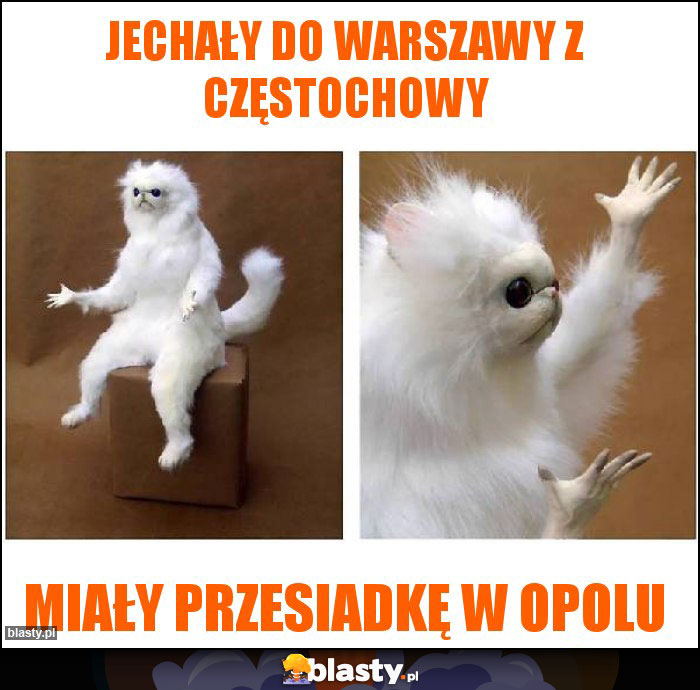 Jechały do Warszawy z Częstochowy