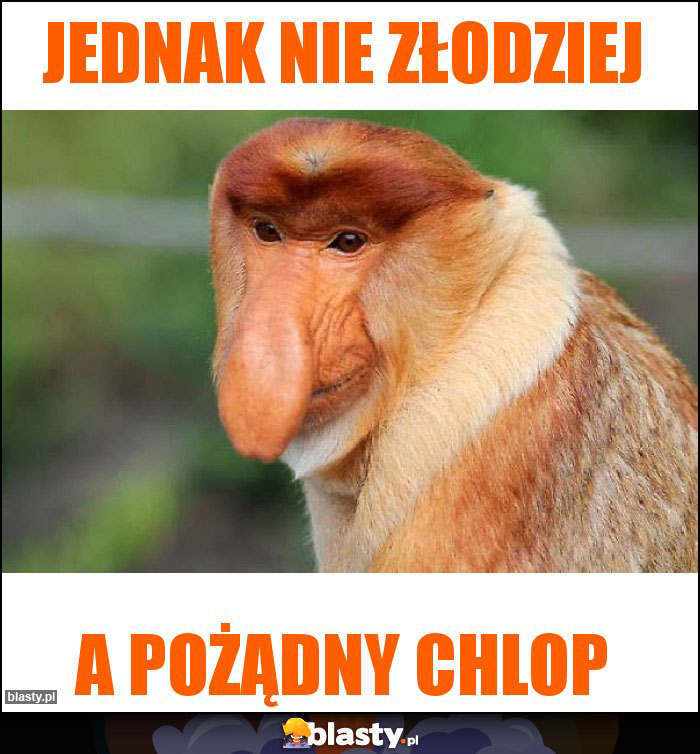 Jednak nie złodziej