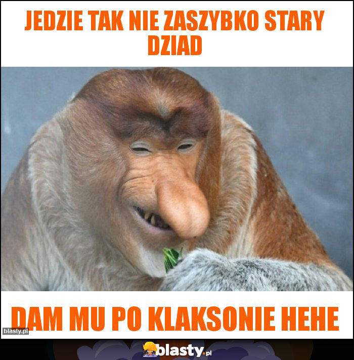 Jedzie tak nie zaszybko stary dziad