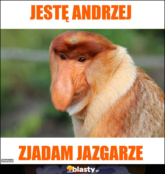 Jestę Andrzej