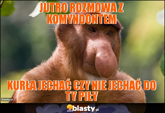 Jutro rozmowa z komyndontem