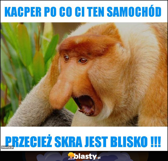 KACPER PO CO CI TEN SAMOCHÓD