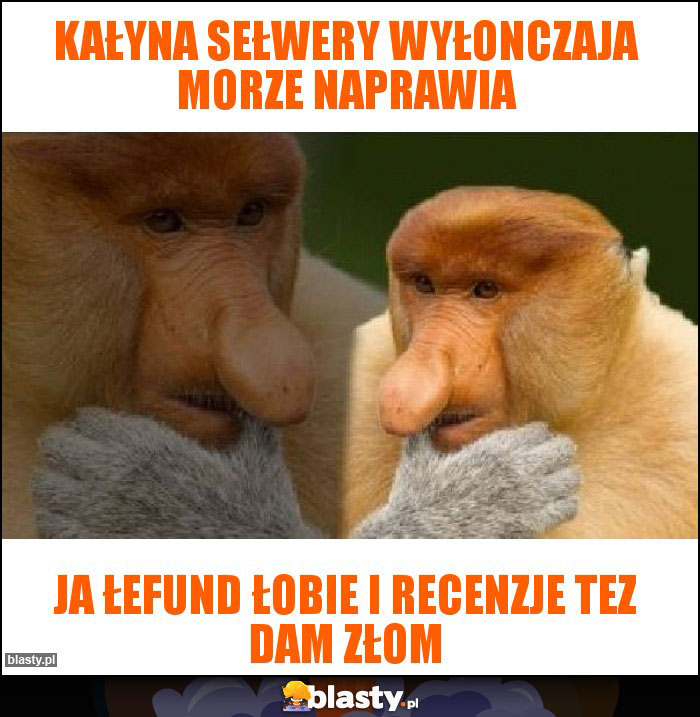 Kałyna Sełwery wyłonczaja morze naprawia