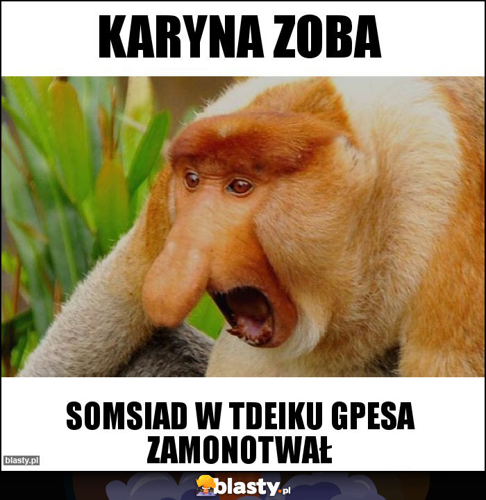 Karyna zoba