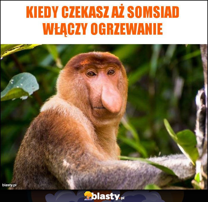 Kiedy czekasz aż somsiad włączy ogrzewanie