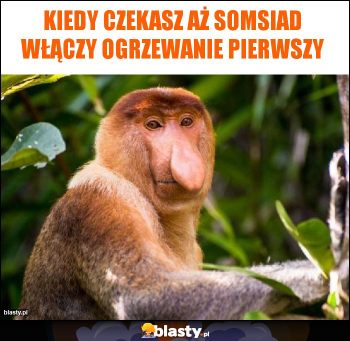 Kiedy czekasz aż somsiad włączy ogrzewanie pierwszy