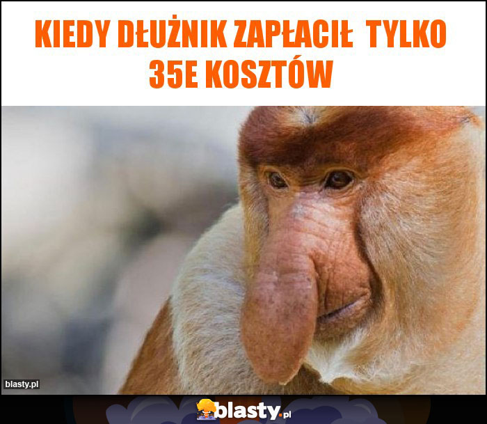 Kiedy dłużnik zapłacił  tylko 35e kosztów