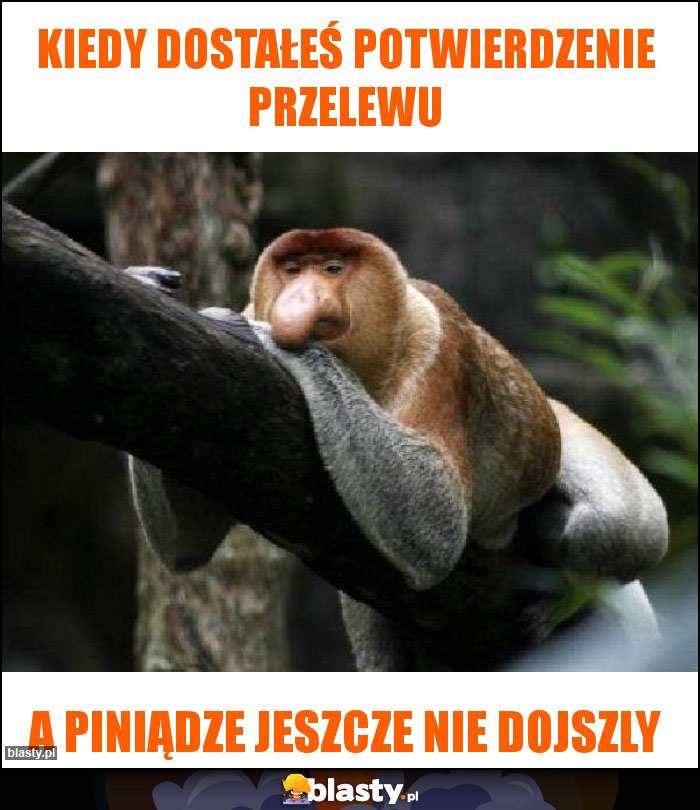 Kiedy dostałeś potwierdzenie przelewu