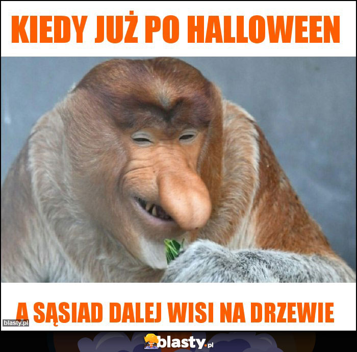 Kiedy już po halloween