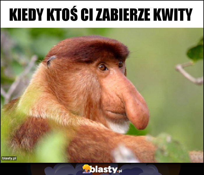 KIEDY KTOŚ CI ZABIERZE KWITY