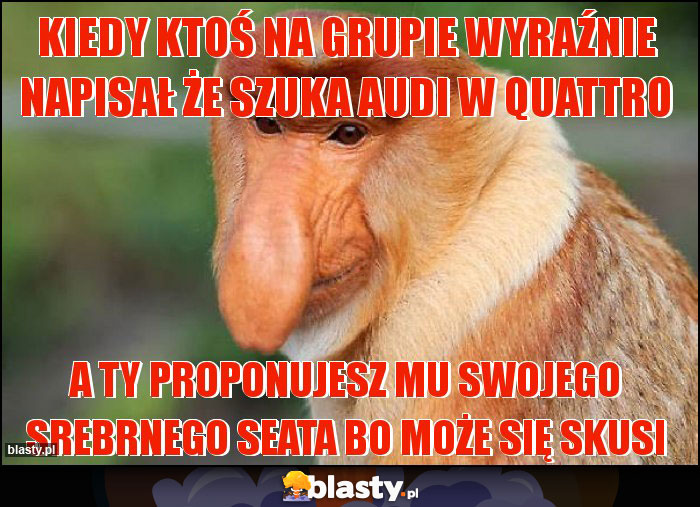 KIEDY KTOŚ NA GRUPIE WYRAŹNIE NAPISAŁ ŻE SZUKA AUDI W QUATTRO