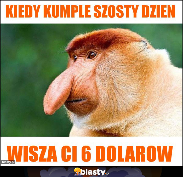 Kiedy kumple szosty dzien