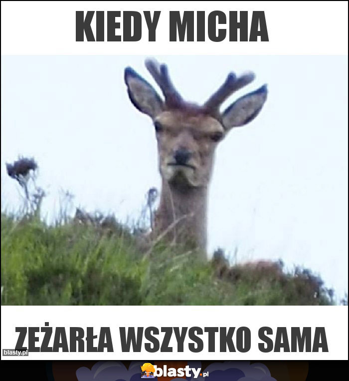 Kiedy micha