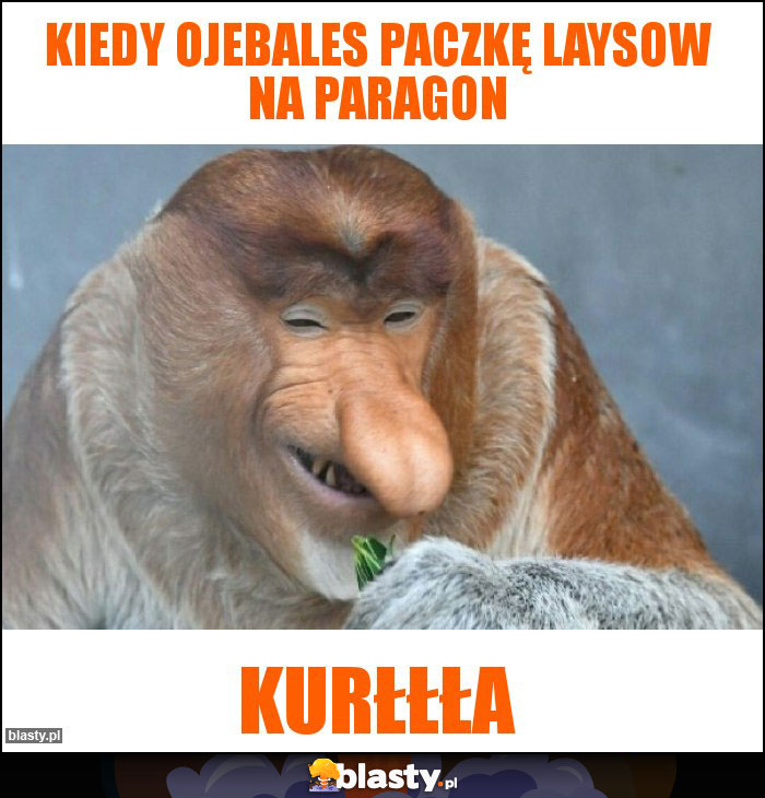 Kiedy ojebales paczkę laysow na paragon