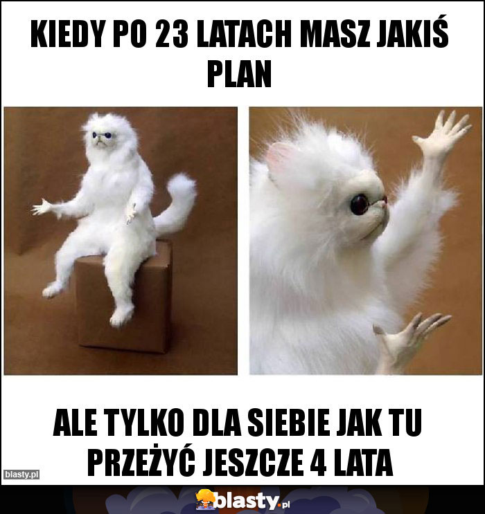 Kiedy po 23 latach masz jakiś plan