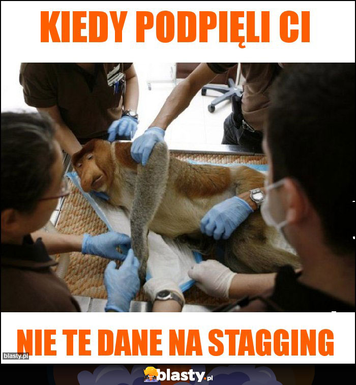 Kiedy podpięli Ci