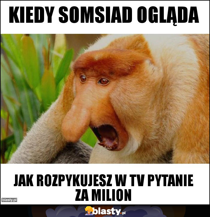 Kiedy somsiad ogląda