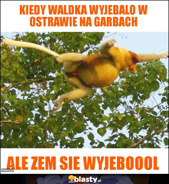 Kiedy Waldka wyjebalo w Ostrawie na garbach