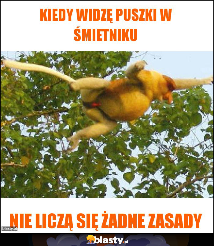 Kiedy widzę puszki w śmietniku