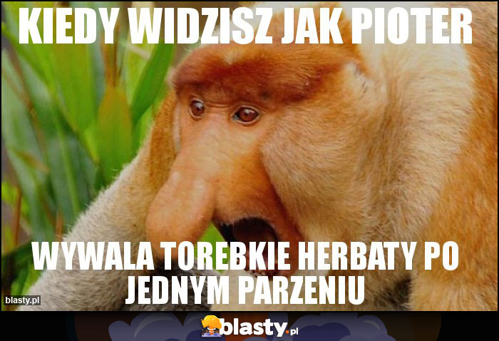 KIEDY WIDZISZ JAK PIOTER