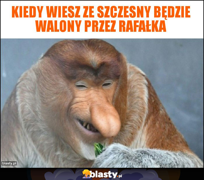 Kiedy wiesz ze Szczesny będzie walony przez Rafałka